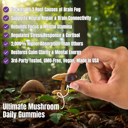 Ultimate Mushroom Daily Gummies™