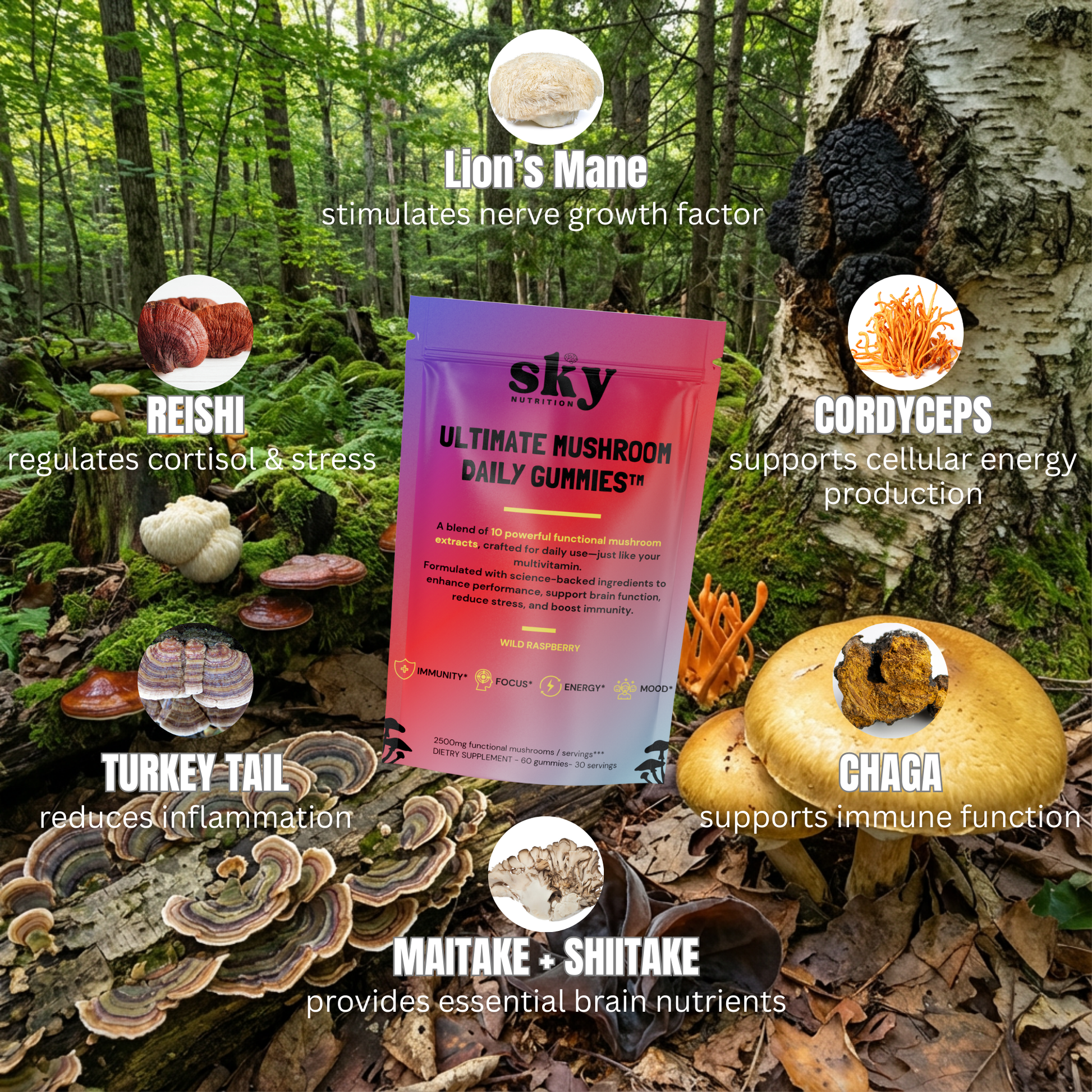 The 10 mushroom ingredients