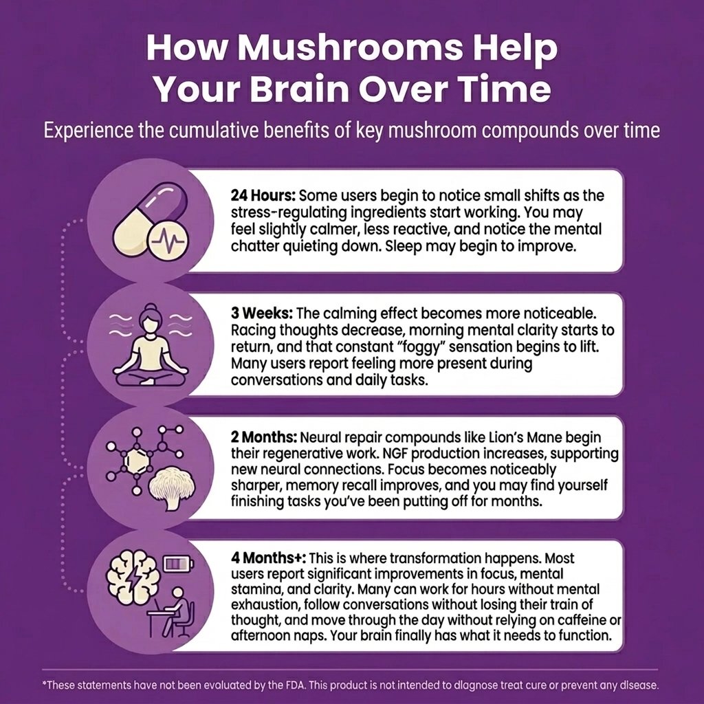 How mushrooms help your brain over time